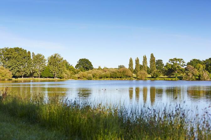 Les-etangs-de-Saint-Aubin-du-Cormier-credit-Alexandre-Lamoureux-validite-31102030.jpg