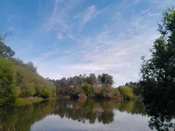 etape-3-etang-de-Meraud--2.jpg