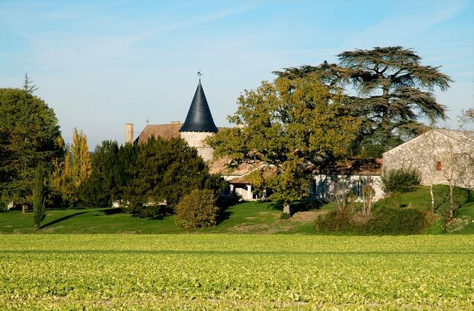 Vue-S-Chateau-La-faurie---02.jpg