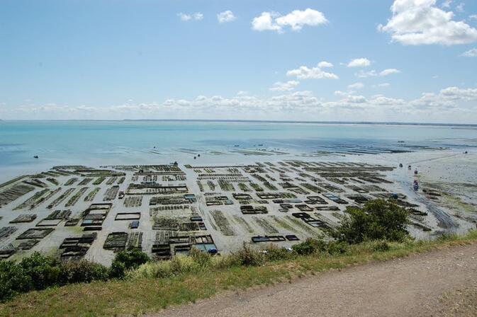 -SMBMSM---Vue-sur-les-parcs-ostreicoles-a-Cancale.jpg