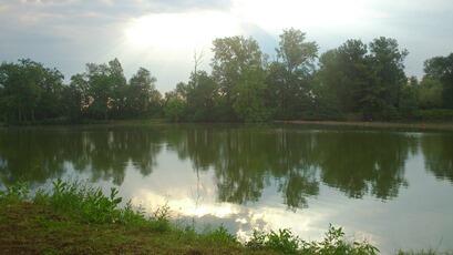 etang-9.jpg