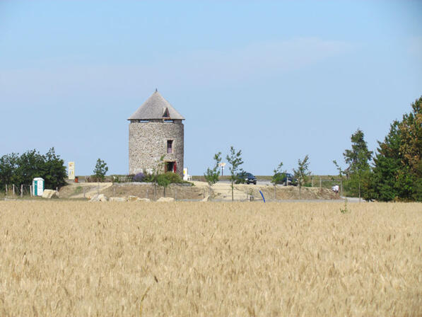 RANDOBRE0350004E-Marais-de-Dol-moulin-Hirel.jpg