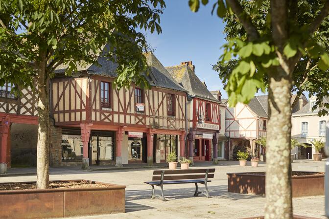 Maisons-a-porche-La-Guerche-de-Bretagne-A.-Lamoureux-MG-2914.jpg