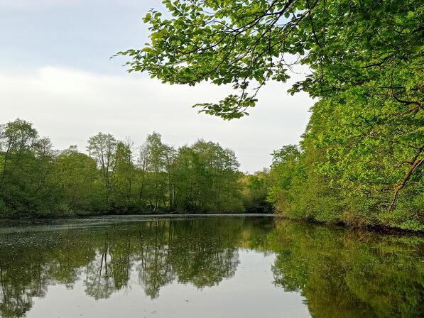 Etang-Saint-Francois.png