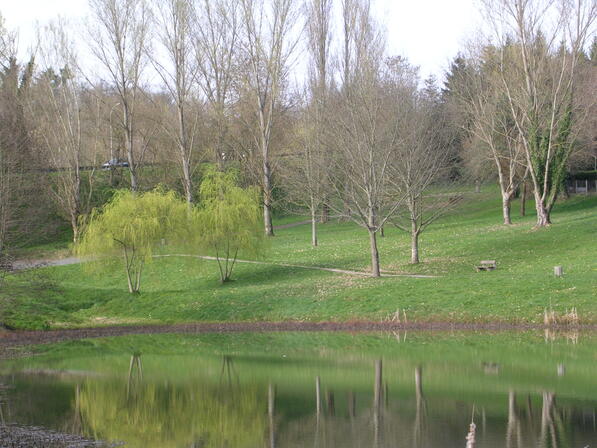 DSCN1961.JPG