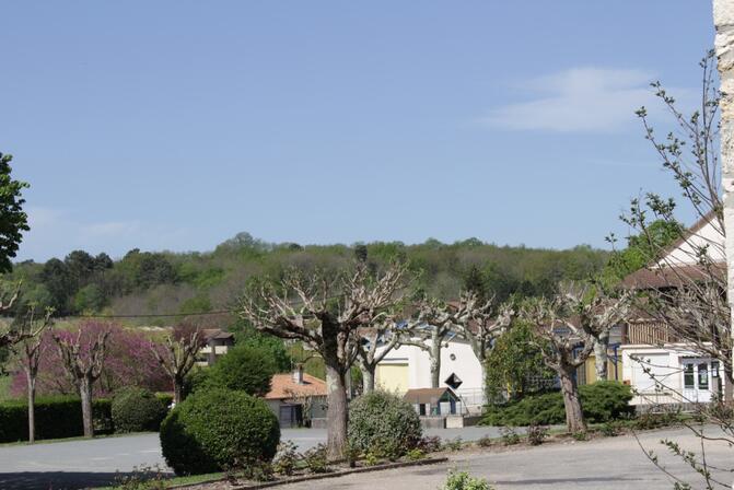 IMG-3656.jpg