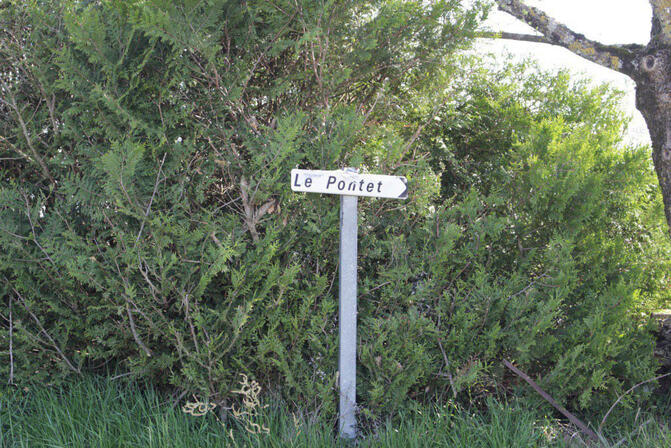 IMG-3479.jpg