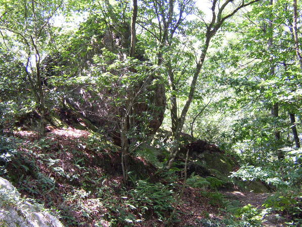 La-roche-piqu--e-2.JPG