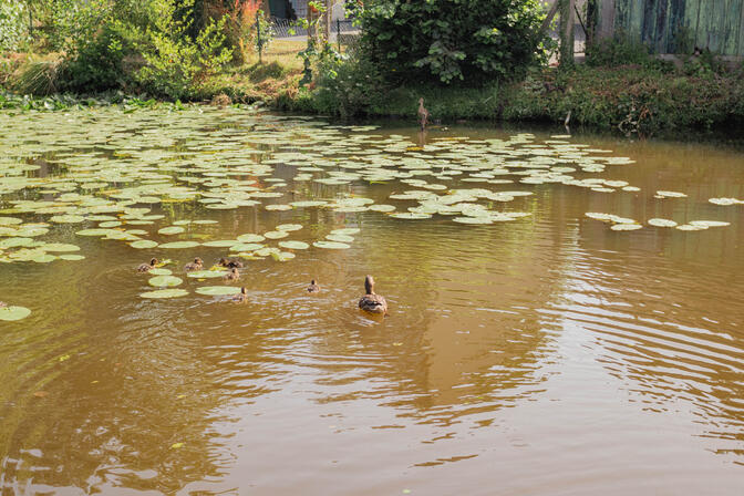 Reportage-Photos-Montfort---Credit-Marie-Houssin-219-2.jpg