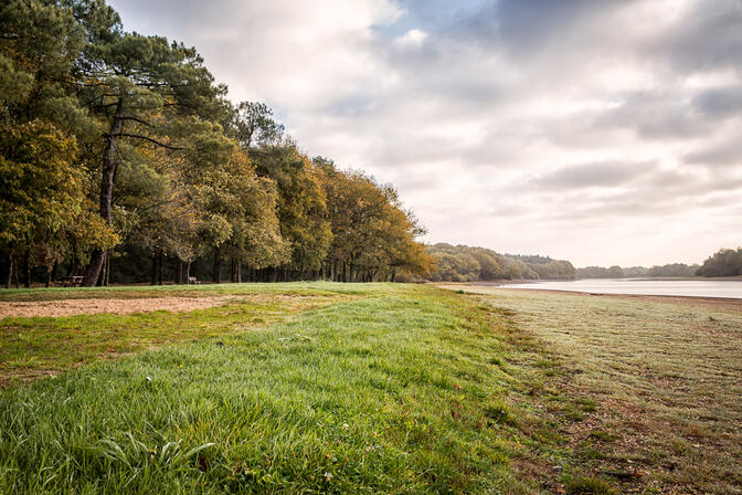 Plage-Lac-Vioreau-automne-MelanieCHAIGNEAU.jpg