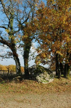 Dolmen-Campguilhem---02.jpg