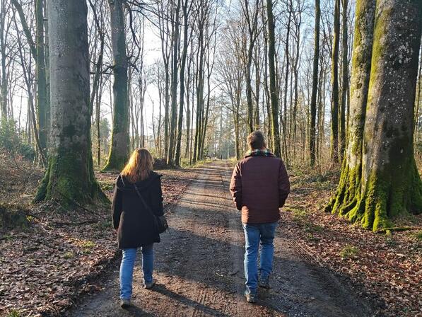 Foret-de-Fougeres.jpg