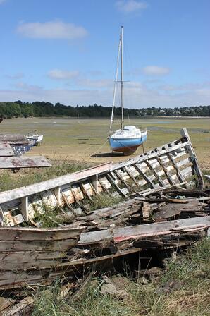 Epaves-de-bateaux-sur-la-greve-des-marais.JPG