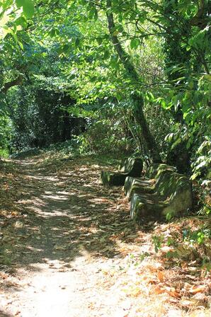 Sentier-des-Comtesses.JPG