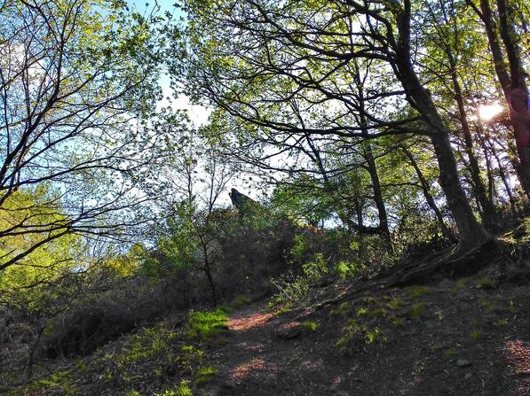 chambre-au-loup-mai-2017--31--2.jpg