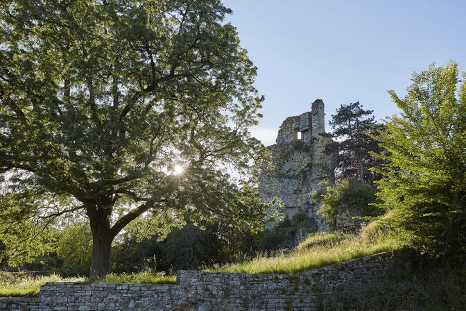 Donjon-de-St-Aubin-du-Cormier-Alexandre-Lamoureux-MG-2601.jpg