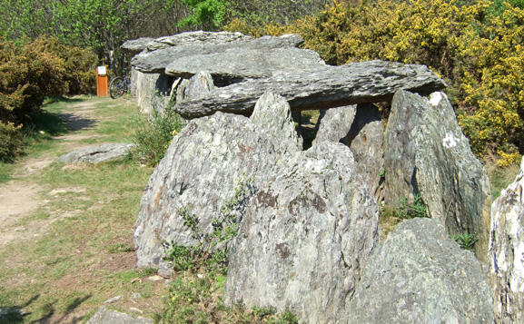 CDT35-tfinal-Site-megalithique-de-Trehal-Saint-Just.jpg
