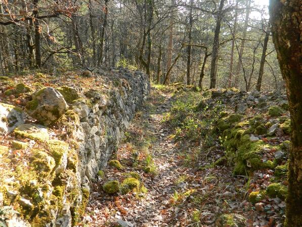 n-4-N-44.73869---E-001.19102-.JPG