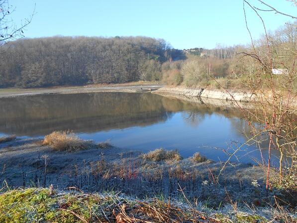 Paysage-hivernal---La-Clairie.JPG