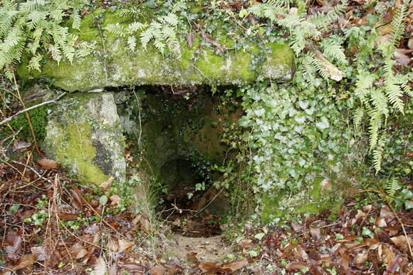 chambre-megalitique.jpg