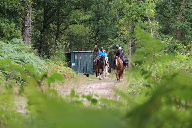 Centre-equestre-du-lac-de-Tremelin--office-de-tourisme-du-pays-de-Montfort--31-.JPG