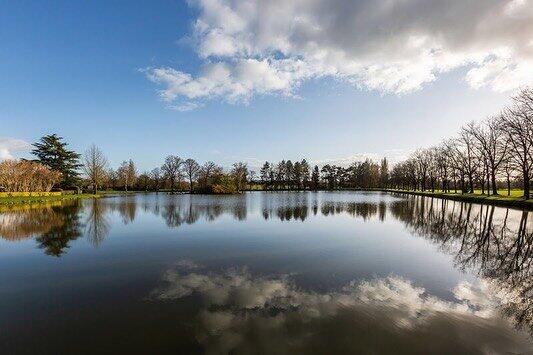Etang-de-Rannee-2--Vitre-Communaute-2.jpg