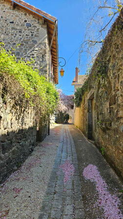 Ruelle-du-Pont---Rue-de-Matali-5---Sirtaqui.jpg
