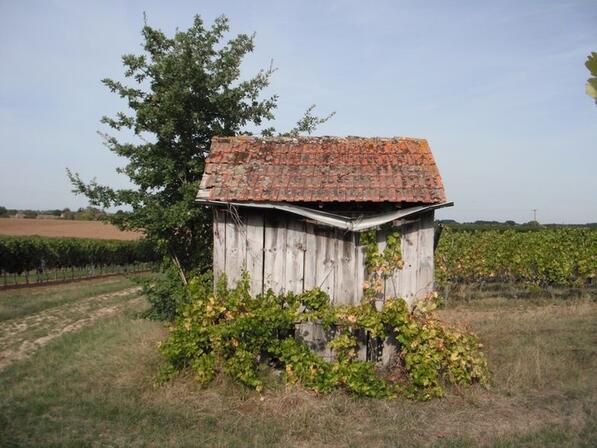 Cabane-au-croisement---02.jpg