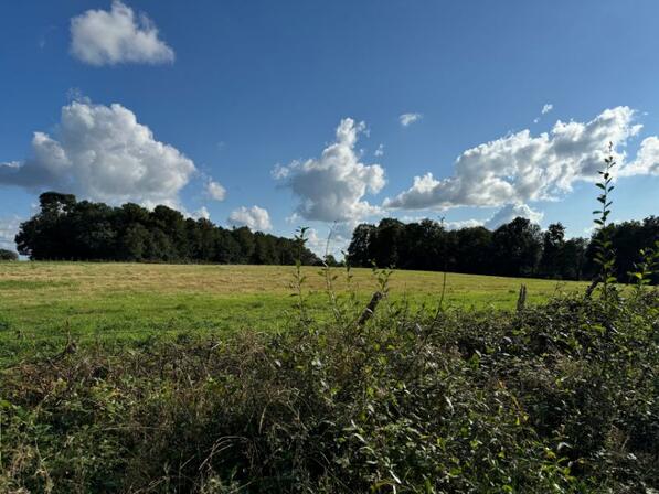 landes-des-paves.jpg