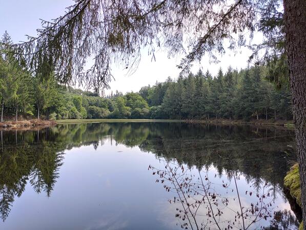 Champnetery--Etang-du-puy-du-Bois-Jaury---Pays-Monts-et-Barrages---Aurelien-Clavreul---copie-4.jpg