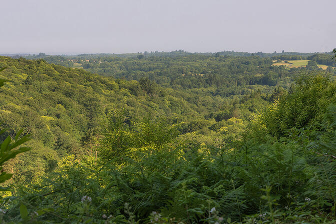 RAZES-Point-de-vue-Tour-Bourg--CBC.jpg