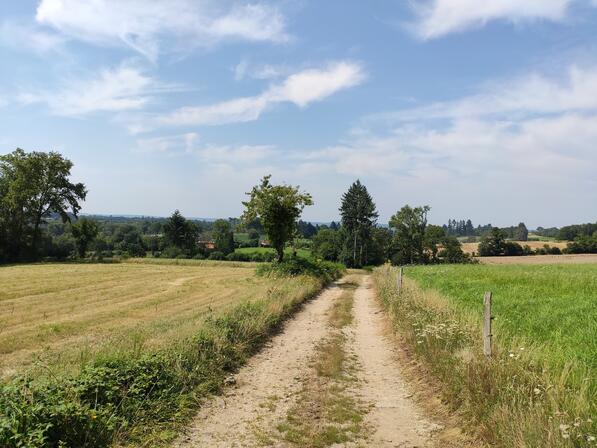 Champnetery--Sur-le-chemin-de-Rieupeyroux---Pays-Monts-et-Barrages---Aurelien-Clavreul---copie-2.jpg