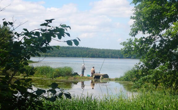 CDT35-tfinal-Etang-du-Boulet-Feins.jpg