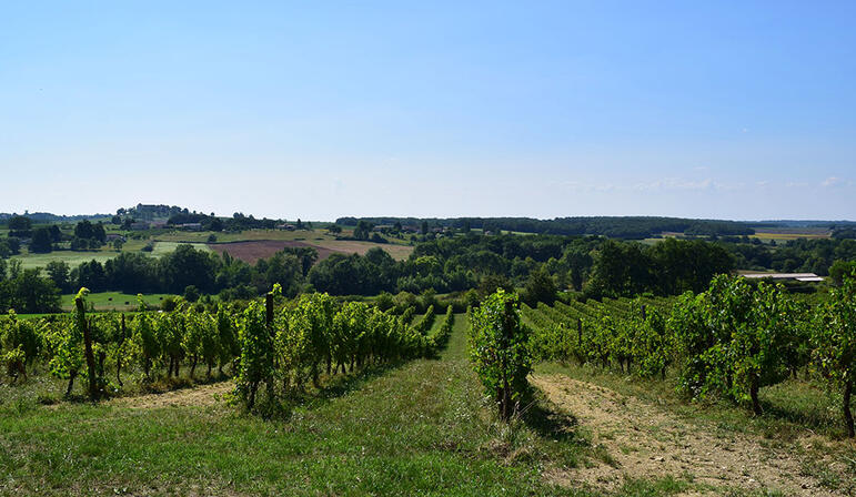 autour-saussignac-chateau-haut-fongrive--78--2-2.jpg