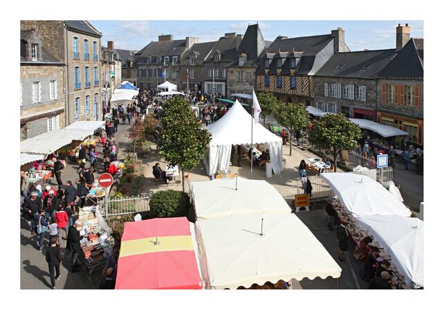 Fete-du-livre-place-des-anciennes-Halles-Becherel-Freddy-Rapin.jpg