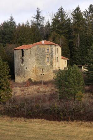 ruines-chateau-de-la-Tulieres-CRA.jpg