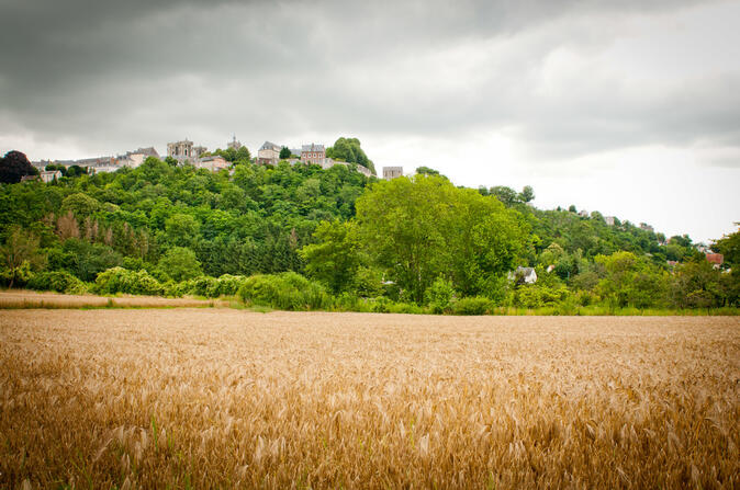 La ville haute de Laon vue de la cuve Saint Vincent-23807.jpg