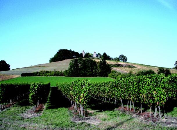 Moulin-depuis-Cap-del-Bourg.jpg