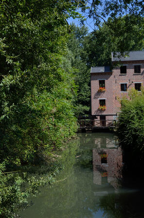 17886129_sebourg-moulin_52016cavmjpg.jpg