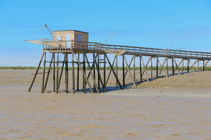 rochefort-ocean-charente-carrelet © Marine de Villartay (1).JPG