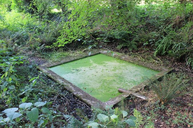 Lavoir-restaure.JPG