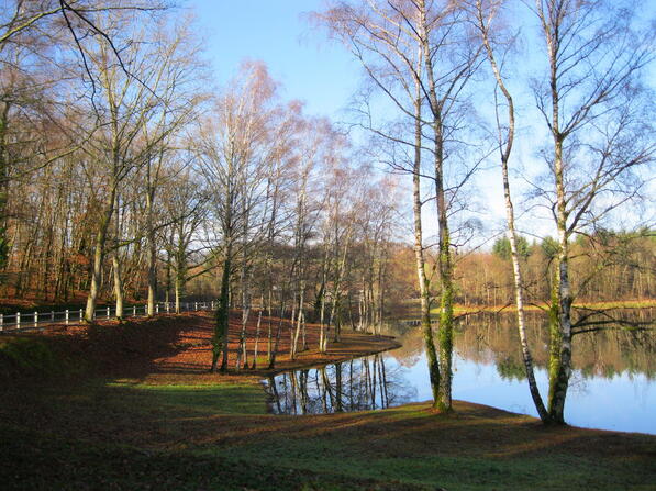 Reserve-d-eau-de-la-Mazelle-en-fin-d-automne-web-2.jpeg