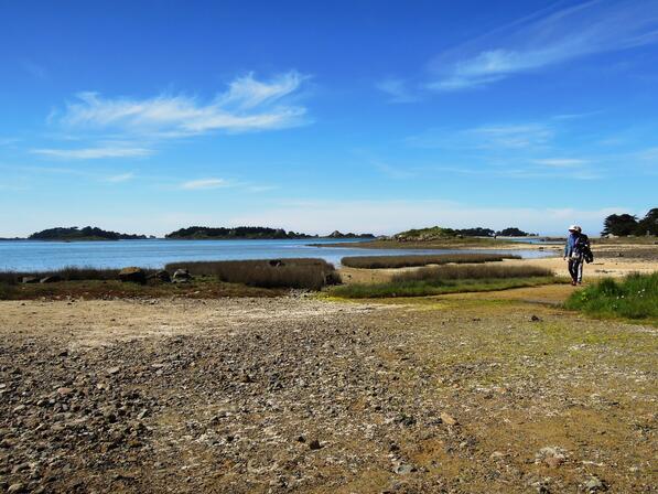 BUGUELES-ENTRE-MAREE-ET-MARAIS6.JPG