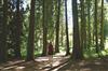 DSC-0370---copie-2.jpg