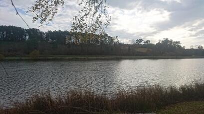 A-Etang-de-Fossemagne.jpg
