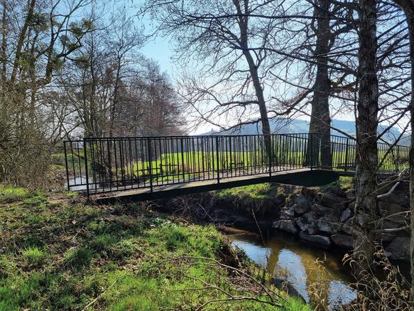 Copie de 20210309_111429 (1) jean paul fauvaux.jpg