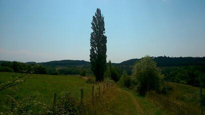 chemin-4.jpg