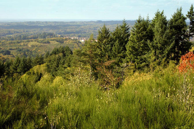 cOMPREIGNAC-1ok-2.jpg