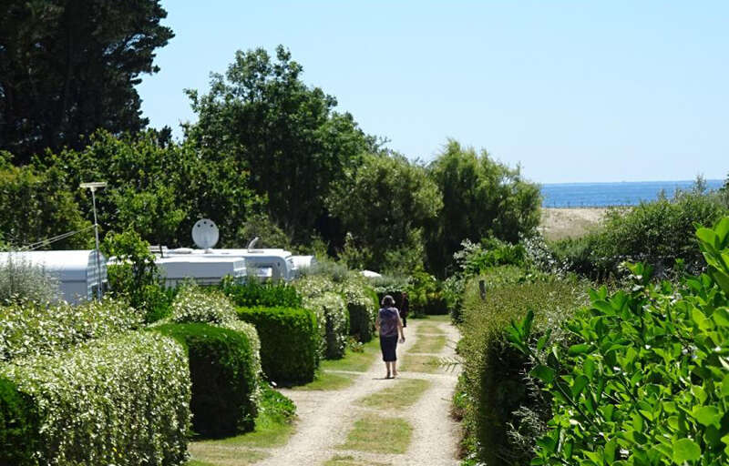 Camping Karreg Skividen - Photo 3