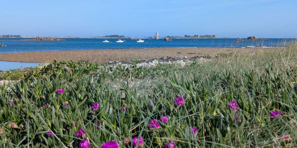 Aire de stationnement de Port Béni — photo 3